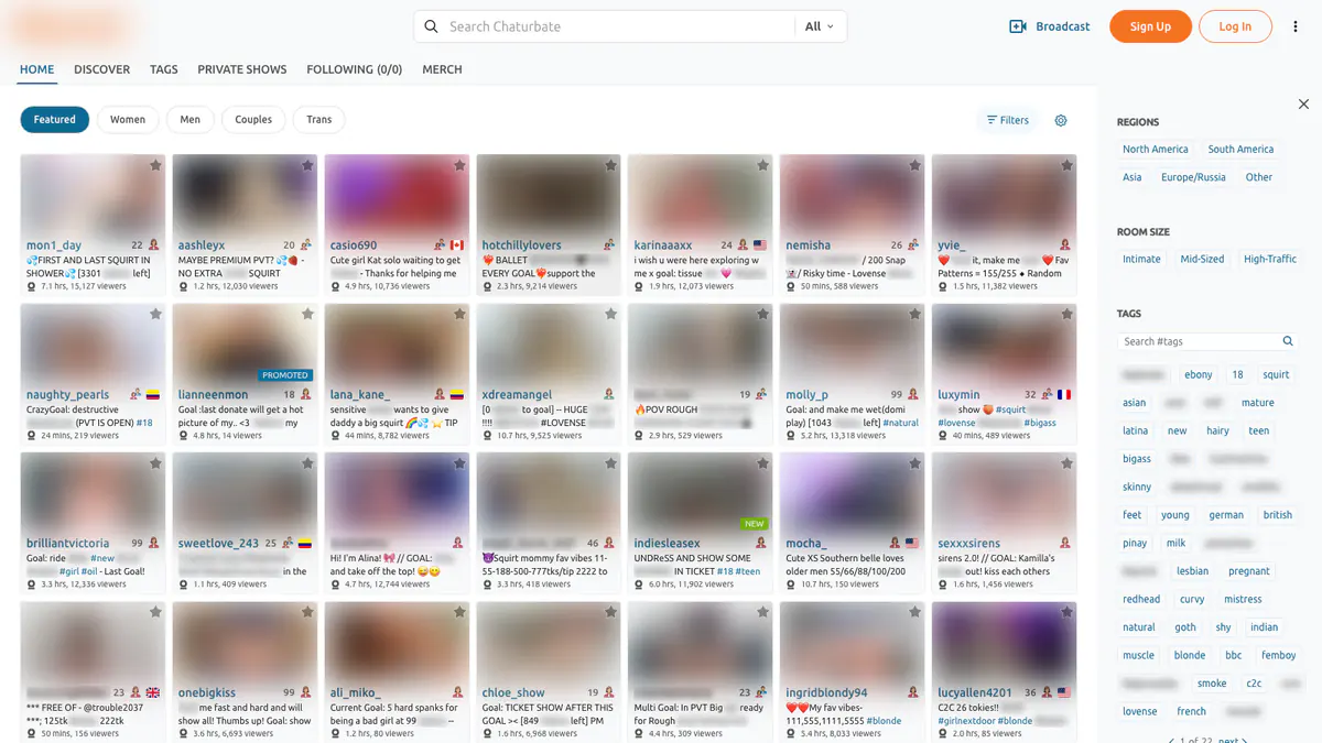Chaturbate Video Downloader screenshot 2