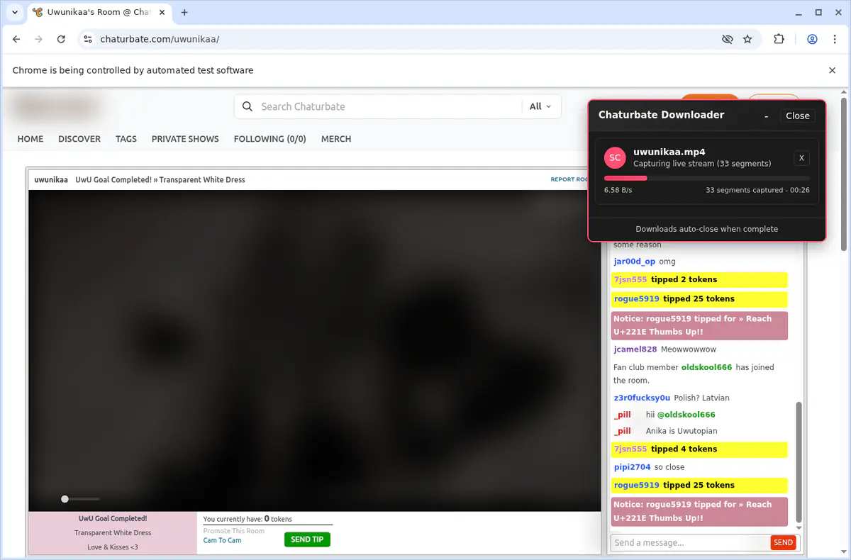 Chaturbate Video Downloader screenshot 3